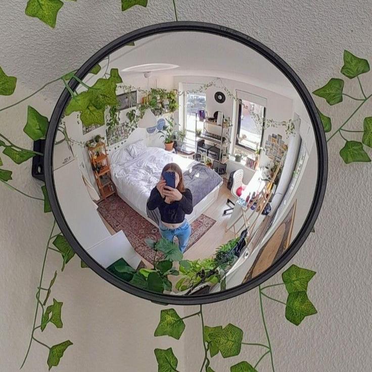 Traffic mirror