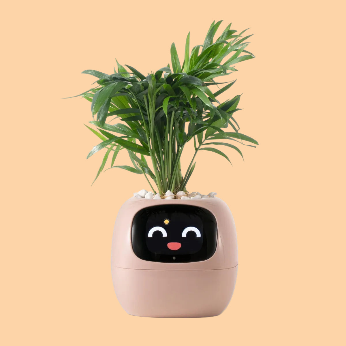 Interactive Plant Pot