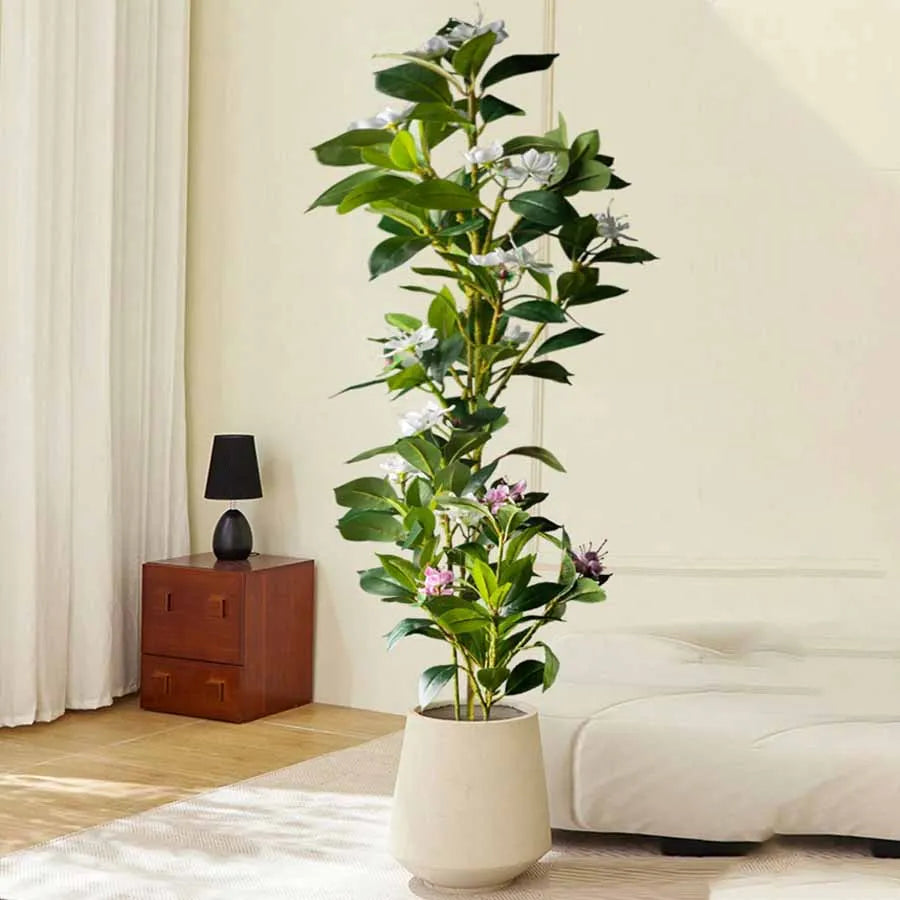 Magnolia Plant Set