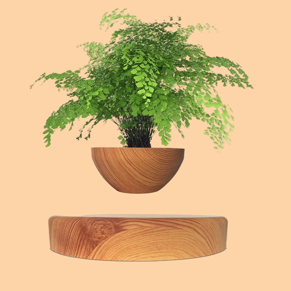 Levitating Plant Pot