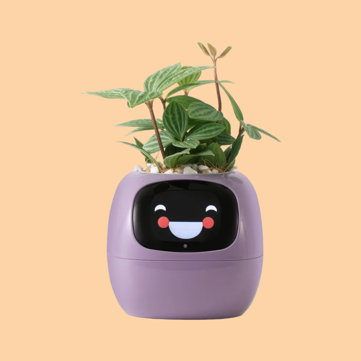 Interactive Plant Pot