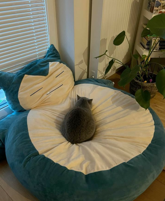 Giant Snorlax Beanbag - Without Filling