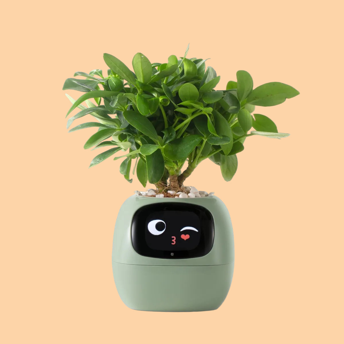 Interactive Plant Pot