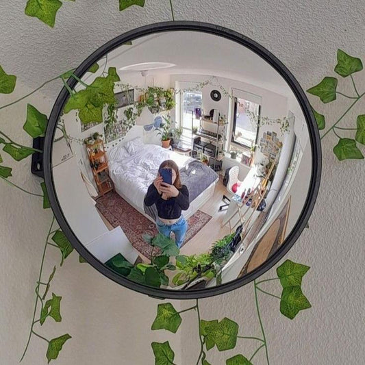 Traffic mirror