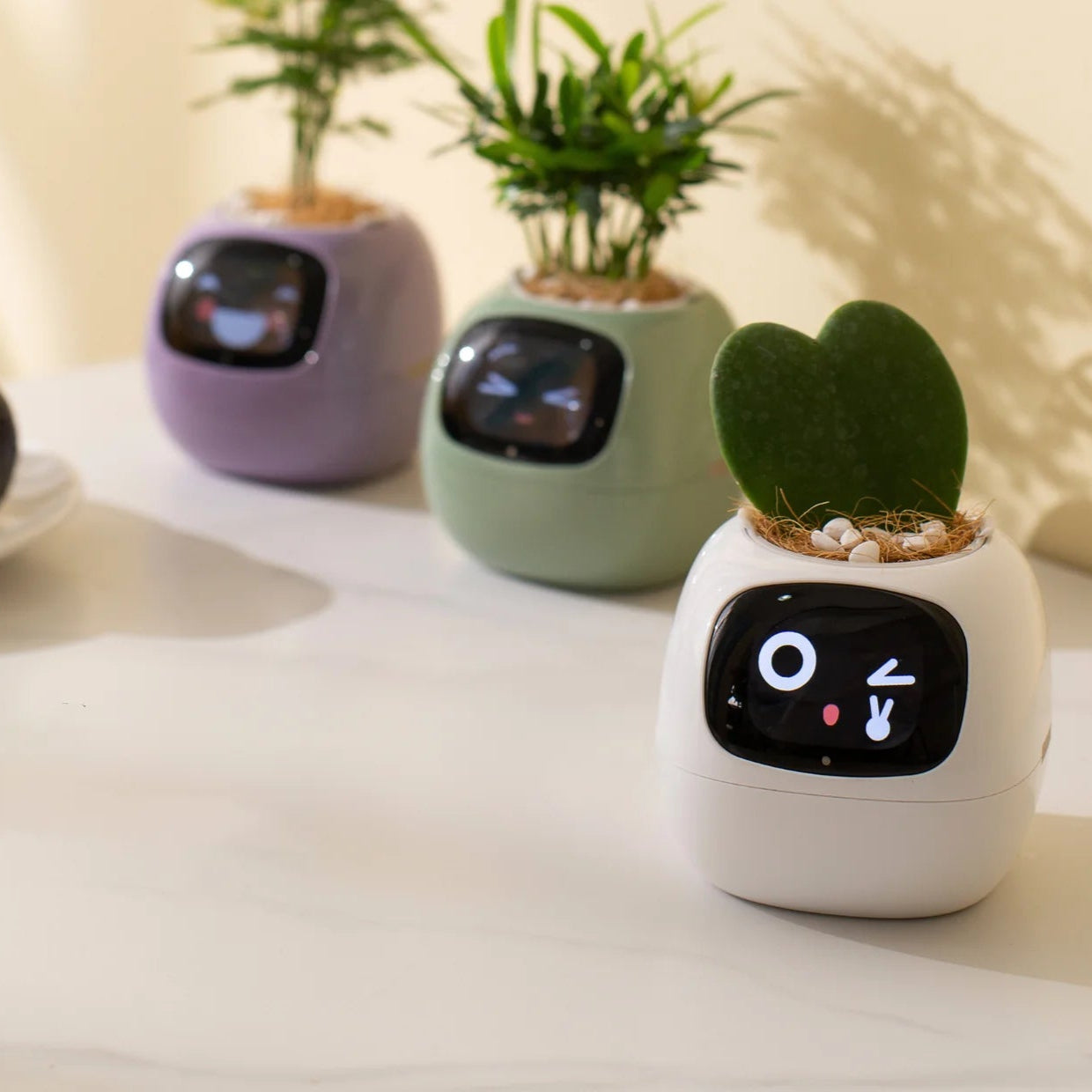 Interactive Plant Pot